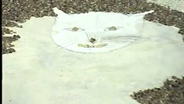 ДРОК 2001. Содержание работы. смотреть онлайн