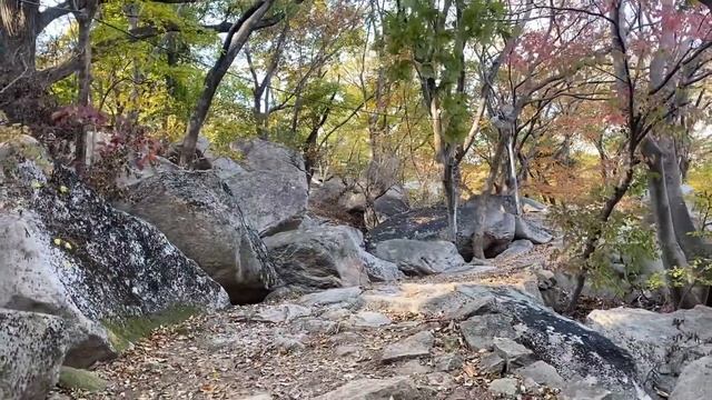 Золотая осень в Корее. Катя и Кюдэ/Южная Корея