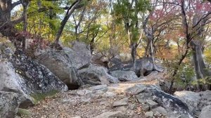 Золотая осень в Корее. Катя и Кюдэ/Южная Корея