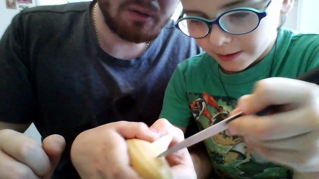 Как сделать из банана дельфина? ЛЕГКО!) смотреть онлайн