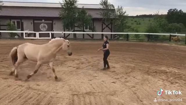 Элемент «Виртуальная корда» смотреть онлайн