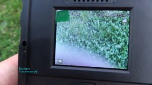 Самая дешевая фотоловушка Welltar 7310MG для охоты с ммс