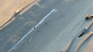 Капельный полив на клубничных грядках.