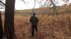 Как поймать бобра в КП-320