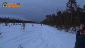 Снегоход Тайга Варяг 550V/Ушатали снежик за 1300000!/Часть 5