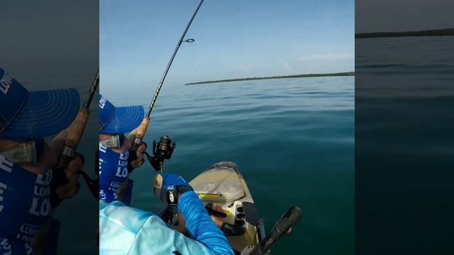 Pesca en kayak 3 samas 1 sierra y 6 colirubias смотреть онлайн