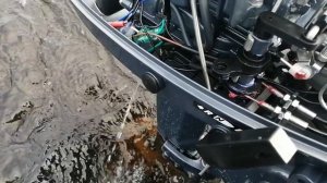 Sea Pro 9 8 вибрация