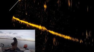 Вечерний выезд на рыбалку с Active Target. Основы поиска и ловли с технологией Live Sonar.