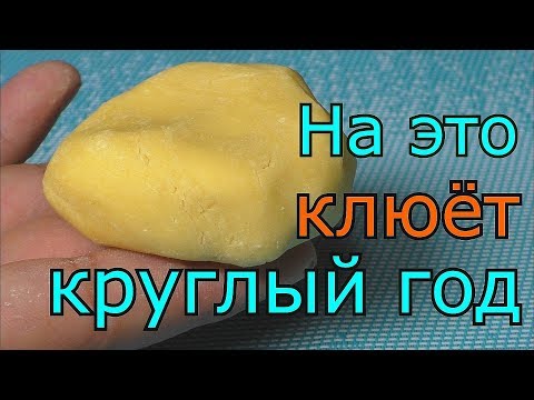 Тесто для рыбалки смотреть онлайн