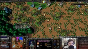 Всё стоит ТОЛЬКО ДЕРЕВО: Вся карта - это ЛЕС! Безумная карта в Warcraft 3 Reforged