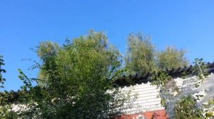 душ из пэт кеги