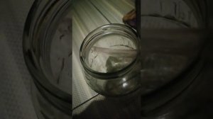 Ректификационная колонна своими руками....тестирование