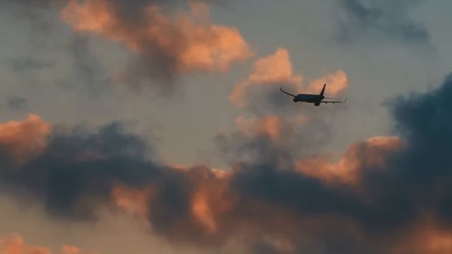 100 Невероятных Случаев, Снятых на Камеру смотреть онлайн