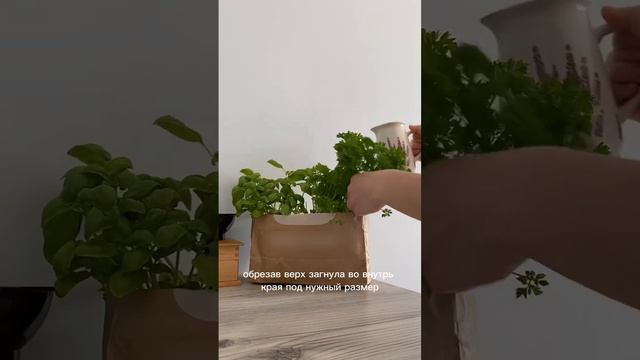 Как ЗА ОДНУ КОПЕЙКУ создать УЮТ, живя на съёмной квартире? #shortsvideo смотреть онлайн