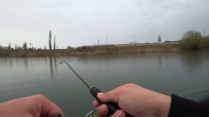Рыбалка в Крыму, щука на воблер, ловля щуки в жабовниках!