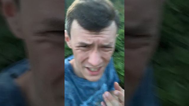 Коротко о Создателе и линейке GroBro