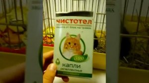 Чем мы лечили морских свинок (власоеды)