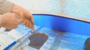 Ловля рыбы на кивок Щербакова. Как работает.