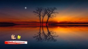 Народные приметы на 9 Августа /Суеверия на каждый день /Приметы и традиции /Народные поверья