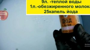 СРОЧНО ДАЙТЕ ОГУРЦАМ МОЛОКО+ЙОД.ЗА НОЧЬ НАРАСТЕТ МОРЕ ХРУСТЯЩИХ ОГУРЧИКОВ И НИКОГДА НЕ БУДУТ БОЛЕТЬ