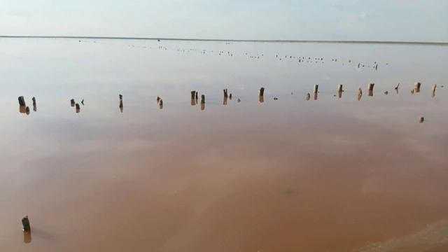 РОЗОВОЕ озеро в Приозёрном: без дрона и фильтров
