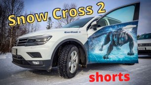 Зимние шины Cordiant Snow Cross 2 #shorts