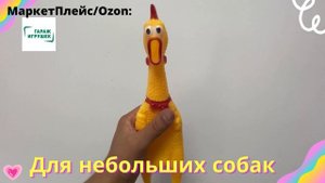 Орущая курица . Резиновая курица . Игрушка для собак