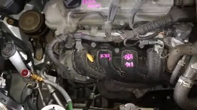 Контрактный двигатель Япония TOYOTA RACTIS / Тойота Рактис / NCP125 1NZ-FE D883752 А/Т 4WD смотреть онлайн