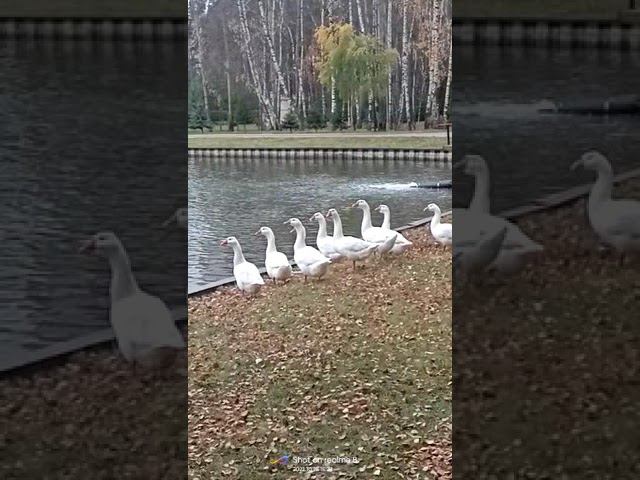 28 октября 2022 г. смотреть онлайн