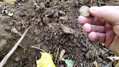 Minelab VANQUISH 340 (Ванквишь) Кошелёк с серебром..#17