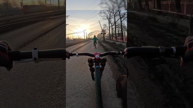 DH Bike Old! Виды шикарные. #freeride