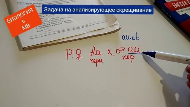 Задача на анализирующее скрещивание. Самое главное.