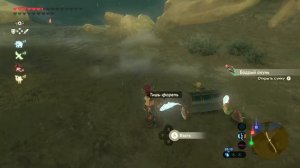 Что может выпасть из Amiibo в The Legend of Zelda: Breath of the Wild