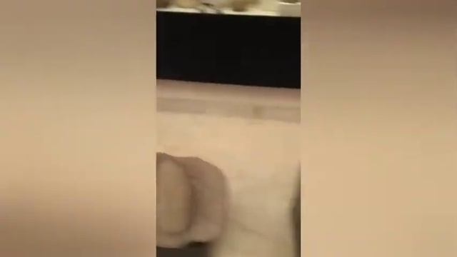 Museum at the Lowest Place on Earth - kingdom of jordan смотреть онлайн