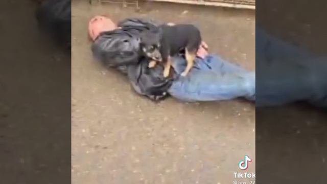 #война