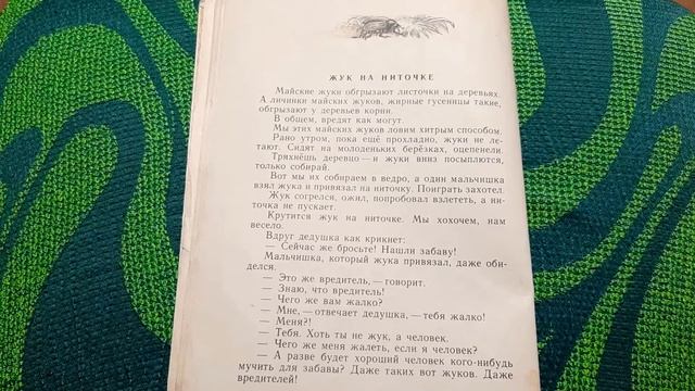 Эдуард Шим. Жук на ниточке