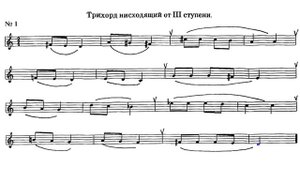 В. Кирюшин. Упражнение 1 В ЦВЕТЕ