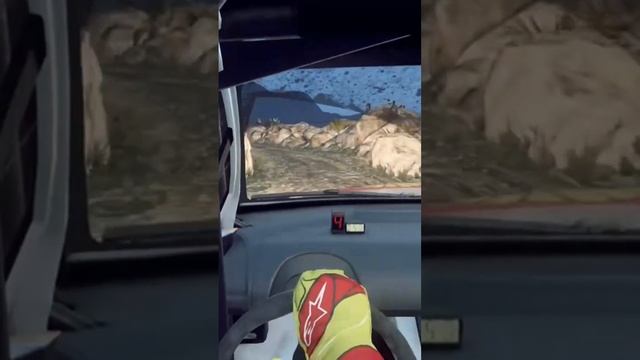 180 then rinse repeat. Citroen C4 Rally in Argentina. Dirt Rally 2.0