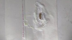 очистка монеты