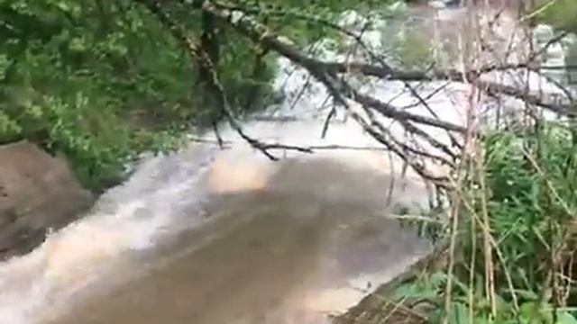 Без комментариев. Видео от друзей.