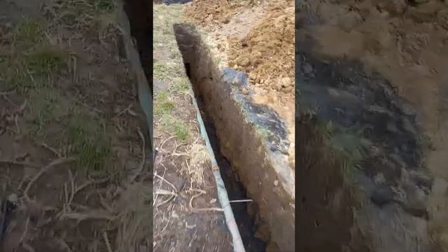 продолжение эпопеи септика смотреть онлайн