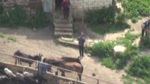 Озеро в горах, село Былым, Кабардино - балкария (июнь 2018)