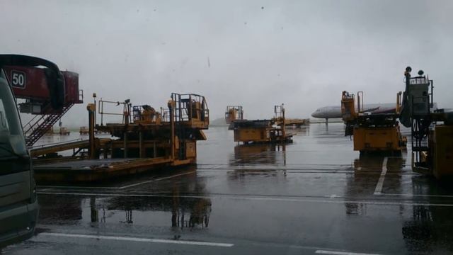 Позорная работа аэропорта Шереметьево смотреть онлайн