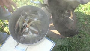 Секретный рецепт Ухи из окуня! в казане.