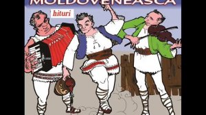 Colaj Petrecere Moldoveneasca - Super hituri de petrecere (AUDIO HD SPIROS GALATI)