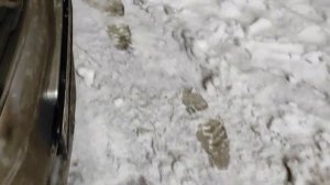 как отличить камерное колесо от безкамерного на легковом автомобиле.