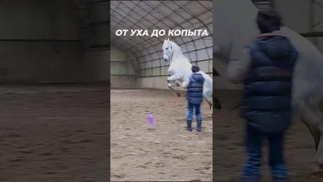 #отуха_докопыта 
Что бы ни, сохраняйте спокойствие!?