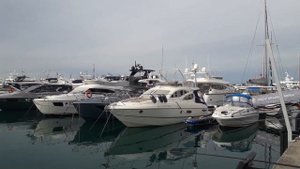 Рыбалка в Сочи. Кефаль и хамса в морском порту