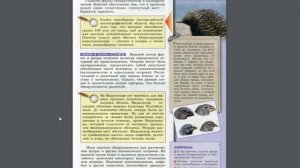 Биология (Л.Н.Сухорукова) 10-11к §41 Биогеографические доказательства эволюции