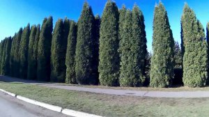 пгт Красная заря   09 11 2020г   Дорога   Обзор  #САМОПАЛ